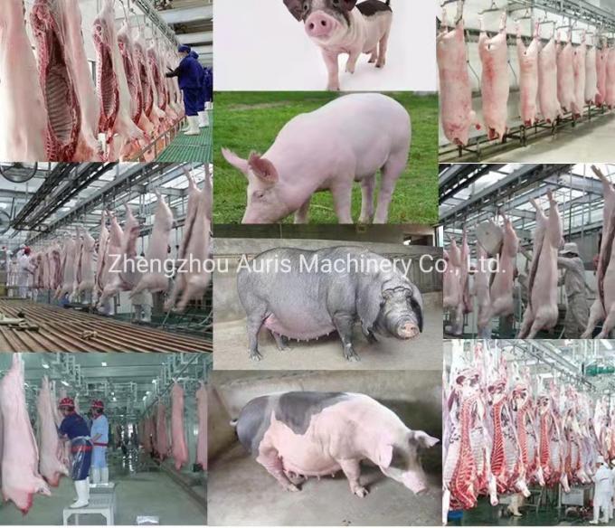 Les cheveux commerciaux de porc de machine de développement de porc de ligne d'abattage de porc d'utilisation enlevant l'équipement pour l'abattoir de porcs dépilent la machine