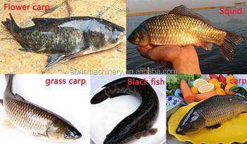 Machine de développement s'ouvrante de coupeur de découpage de poissons de machine de ventre de hauts des poissons 1PCS/S d'ouverture poissons arrières automatiques efficaces de machine