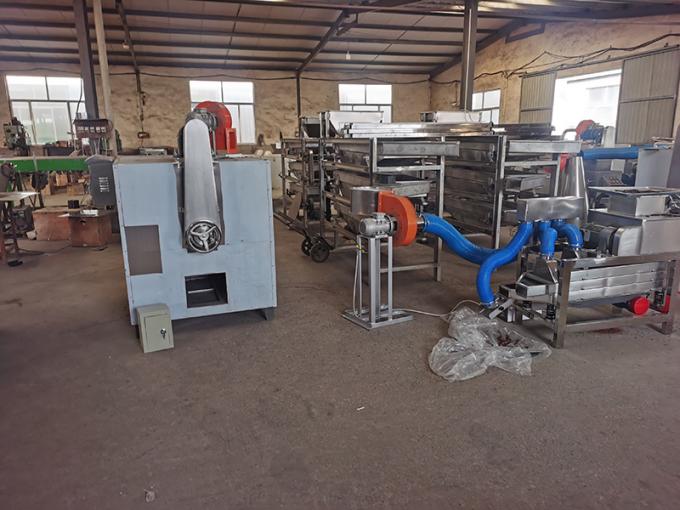 Cacao Bean Roasting Machine Roaster de noix de cajou de café de nourriture