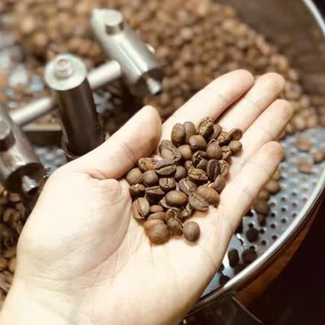 Machine de cuisson de haute qualité de kilogramme Diedrich Coffee Bean Roaster Roasting du Toper 5 de gaz électrique de petit prix petite avec la cuillère témoin
