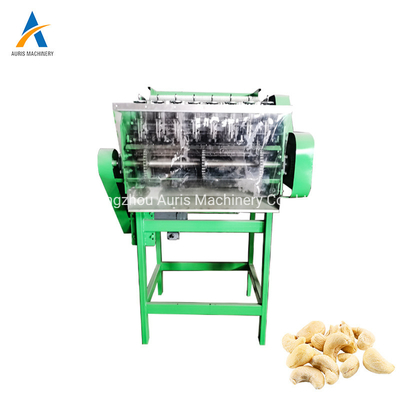 Anarcadier de machine de développement d'écrous de triphosphate d'adénosine épluchant l'écrou Shell Machine Easy Operation