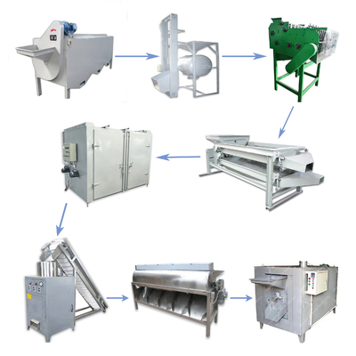 chaîne de production d'écrou de la nourriture 400kg anarcadier de boisson faisant la machine