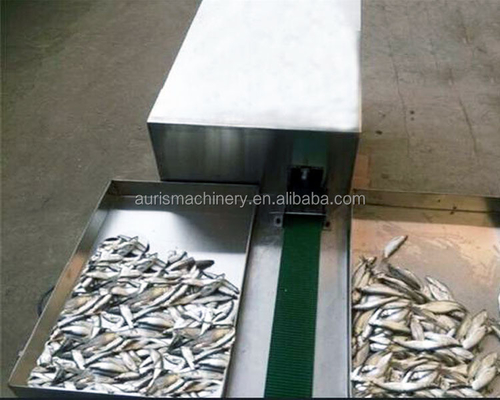 poissons 1800pcs/H machine de développement étriper s'ouvrant arrière de machine de découpage de poissons propre