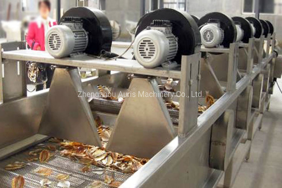 Machine d'épluchage de blanchiment de noix de cajou de noix de machine de développement d'écrous de noyau