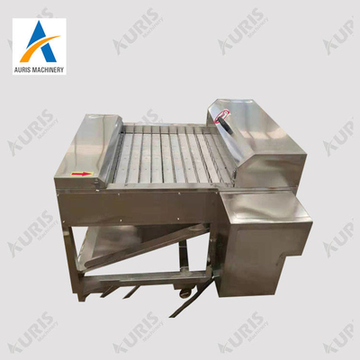 Machine de découpage des filets de trancheuse de poissons de coupeur traitant et coupant Hairtail congelé